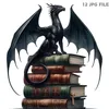 thebookdrag0n