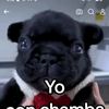 correnchelas