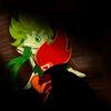 shadow.caca