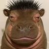 user0s1f6dlayx