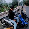 ilyazz81