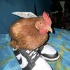 adrielthegoat_1