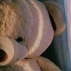 cris._0645