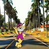 gatosoto20