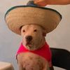chuy2745