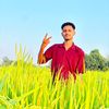arifulpk383