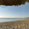 tiemnhocuadolphin