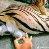 zerotreasurehunt