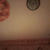 user6682628279009