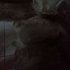 su_pra80