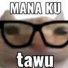pinooruok