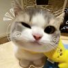 callmeopii11