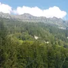 snegrovec