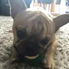 rubyaaaahooo