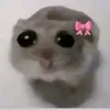 dollyxqz92