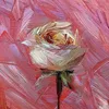 .yousef0322
