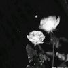 akhwat_987