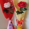 shadi_01290