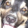 tobia4535