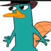 .parry_the_platypus