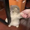 Quà tặng vô lý