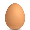 bro_im_literally_an_egg