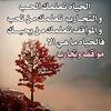 user2414475903152