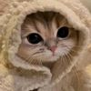 miwihu9zy