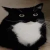 maxsterous