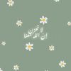 snaa.omar60