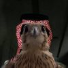 .tamiim