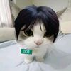 sigueme_no_se_ah_malo