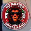 wiilkamilikhsade0
