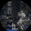 ray_398