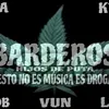 barderosvigo