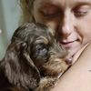 wirehairweenlaughs