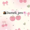 dameli_pro