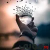 user31091506313526