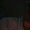 theylovemirra_