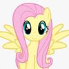 fluttershy1028