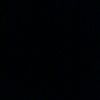 alim_336_07