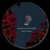 hamna_80
