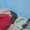 lubisavico