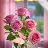 aysel_19__