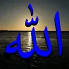 user1662487307061