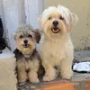Rio e Floflô