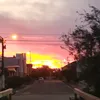 sofi.gerez2652