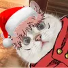 catyuji0