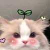 luv.nurrr