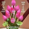 kimhoang_160154